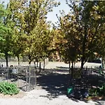 Serene Brooklyn Escape Near Cafes & Park, Sleeps 5 Apartment