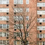 Piece Of Mind In Harlem Apartment *