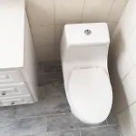 2 *