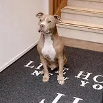 Life Hotel 4*