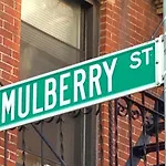 Mulberry Street Apt 12
