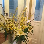 Harlem Bed & Breakfast New York