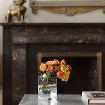 Luxury Greenwich Village *