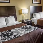 Sleep Brooklyn Downtown Hotel New York