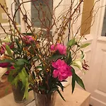 The Melva Inn Harlem