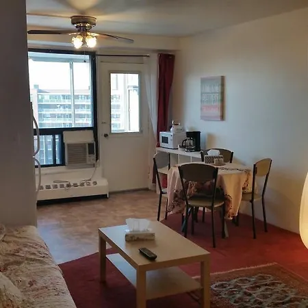 Queens Studio Apartment