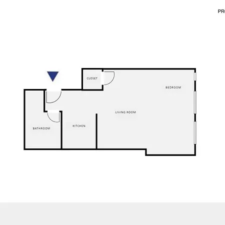 E Village W Renovated Virtual Doorman Nyc-316 Apartment New York