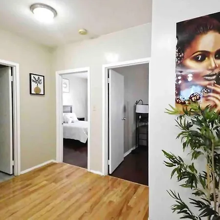 Spacious & Stylish 2br Apt In Bedstuy Apartment
