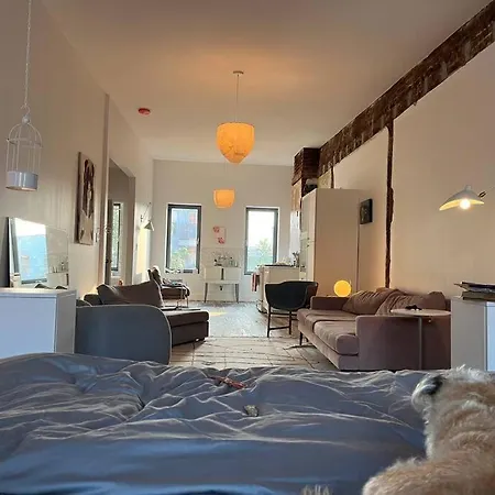 Deconstructed Loft In Greenpoint
