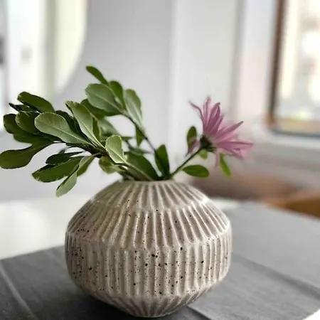Apartment Minimalist Brooklyn Gem To Yourself *