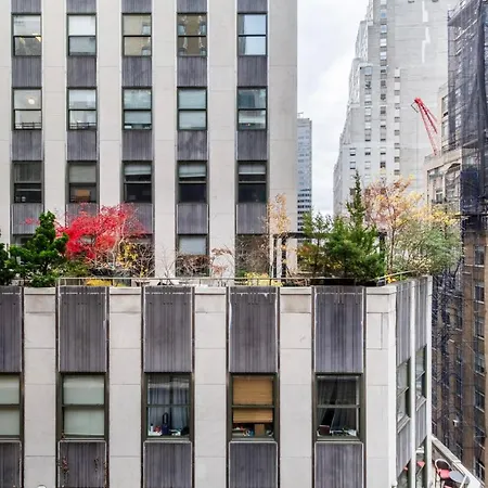 Fidi 1br W Elevator Laundry Gym Nyc-1307 New York