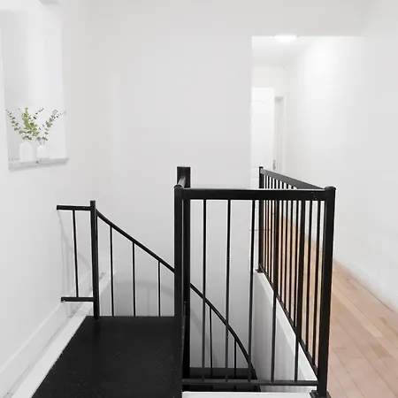 Homestay X Brooklyn1 Blue3057