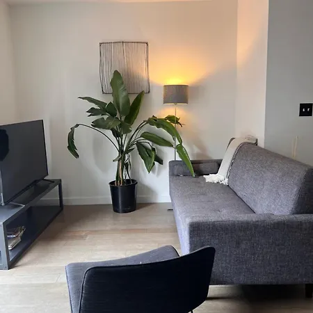 Apartment Beautiful Bright Renovated 2br With A Balcony- Sleeps 5 *