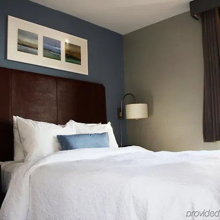 Hampton By Hilton Seaport 2* New York