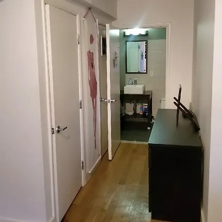 Williamsburg Studio Apartment