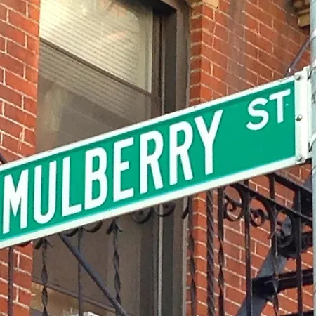 Apartment Mulberry Street Apt 12 New York