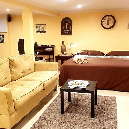 Park Front Studio Apartment New York