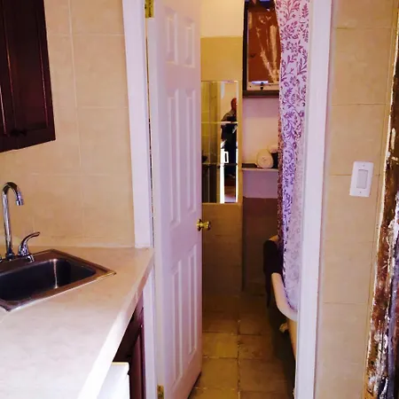 Brownstone Clark Historic Studio Apartment New York