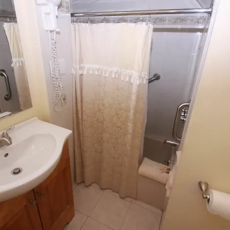 Midwood Brooklyn Apartment