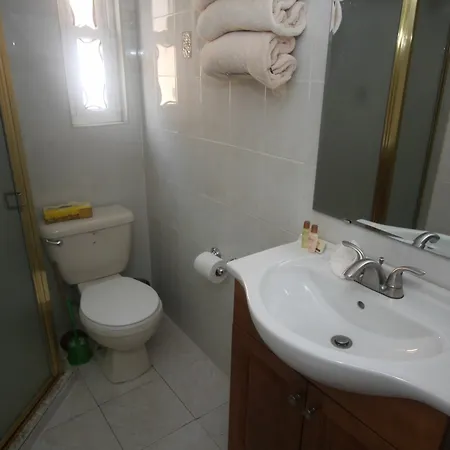 Midwood Brooklyn Apartment New York