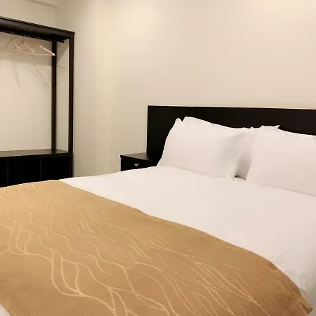The Luxury Apartment