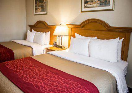 Comfort Jfk Airport 2* New York