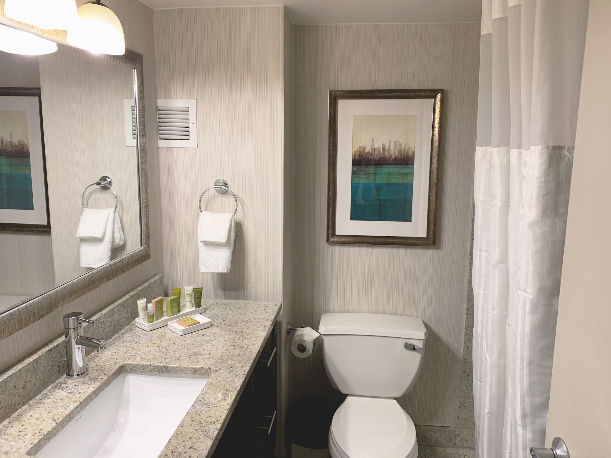 Hotel Hilton Jfk Airport 3*