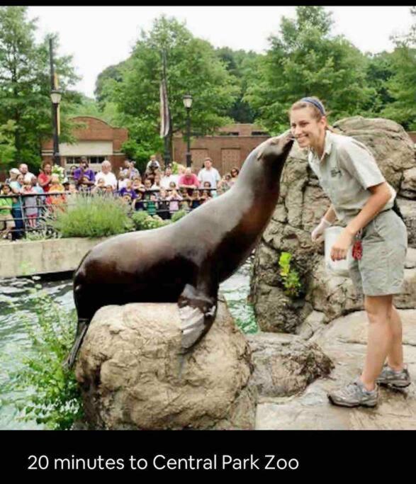 Apartment 3 Bedrooms 1 Bath Apt, 10 Min To Manhattan! New York