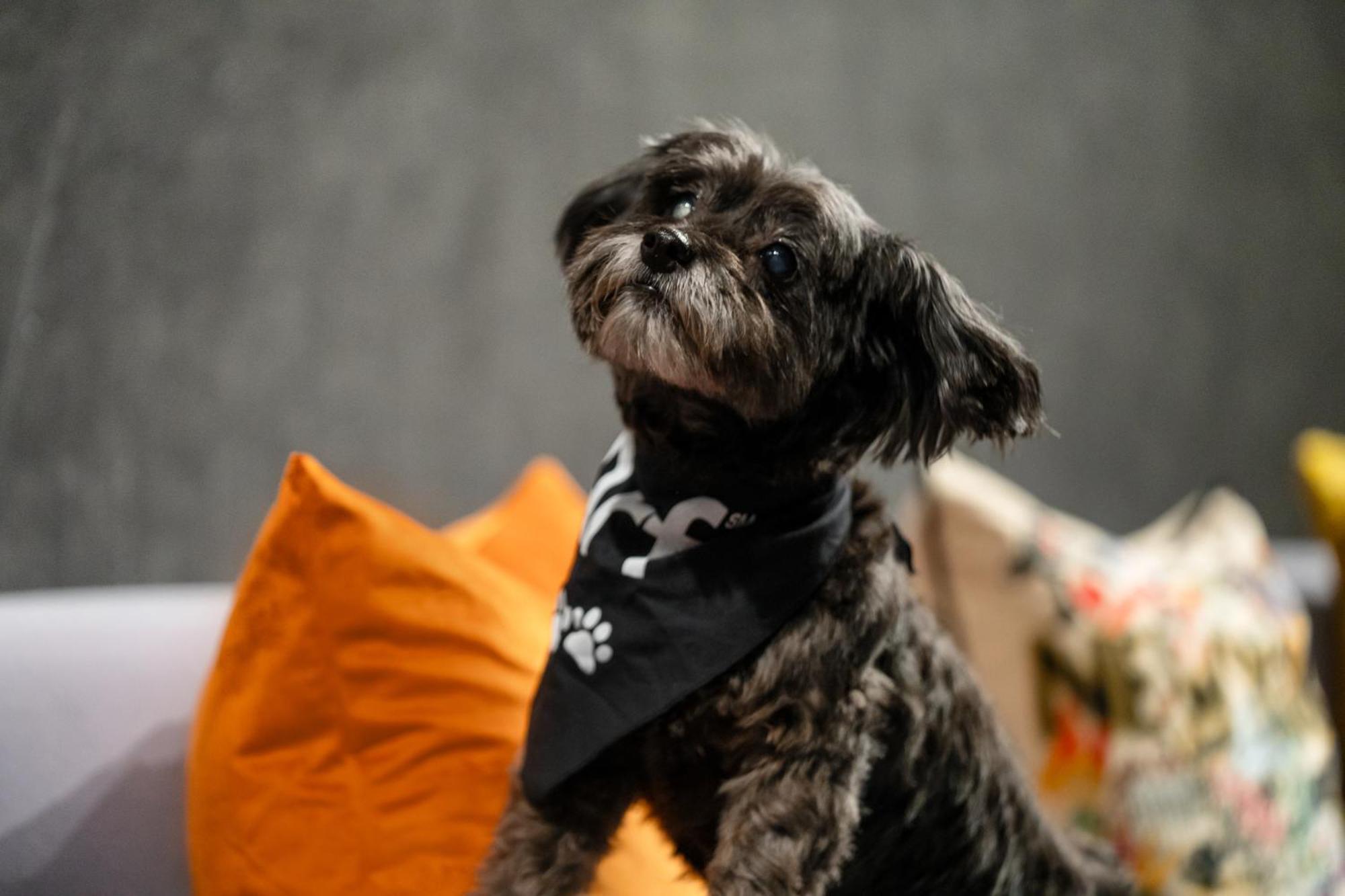 Aloft Chelsea Hotel New York