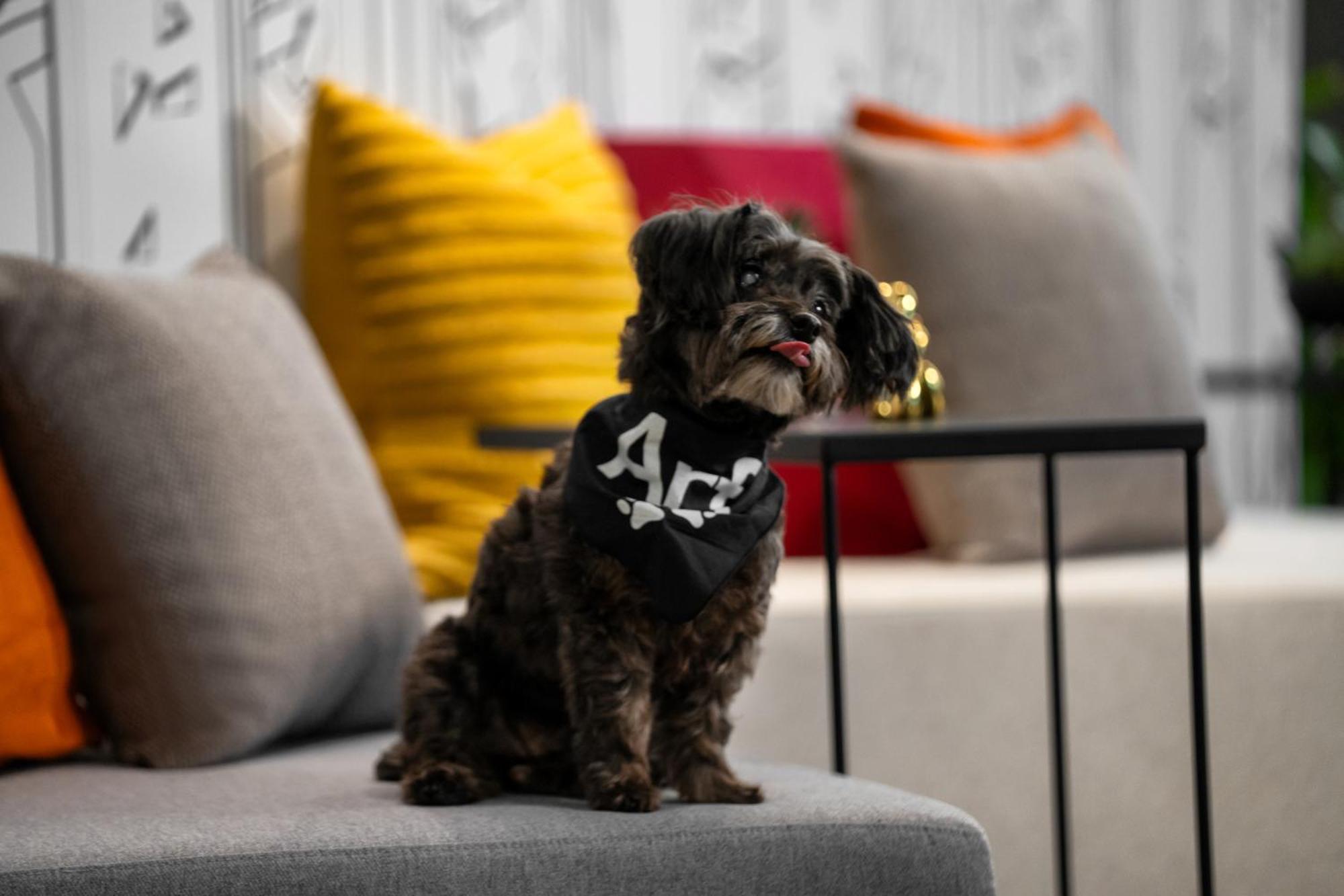 Hotel Aloft Chelsea 4*