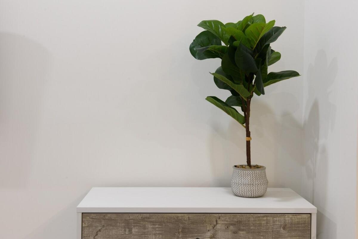 Apartment 1597-9 Renovated Prime Ues Wd In Unit New York