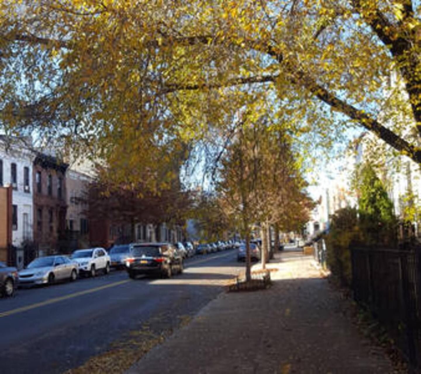 Skylighted Two Br In Multicultural Neighborhood, 25 Minutes To Manhattan *