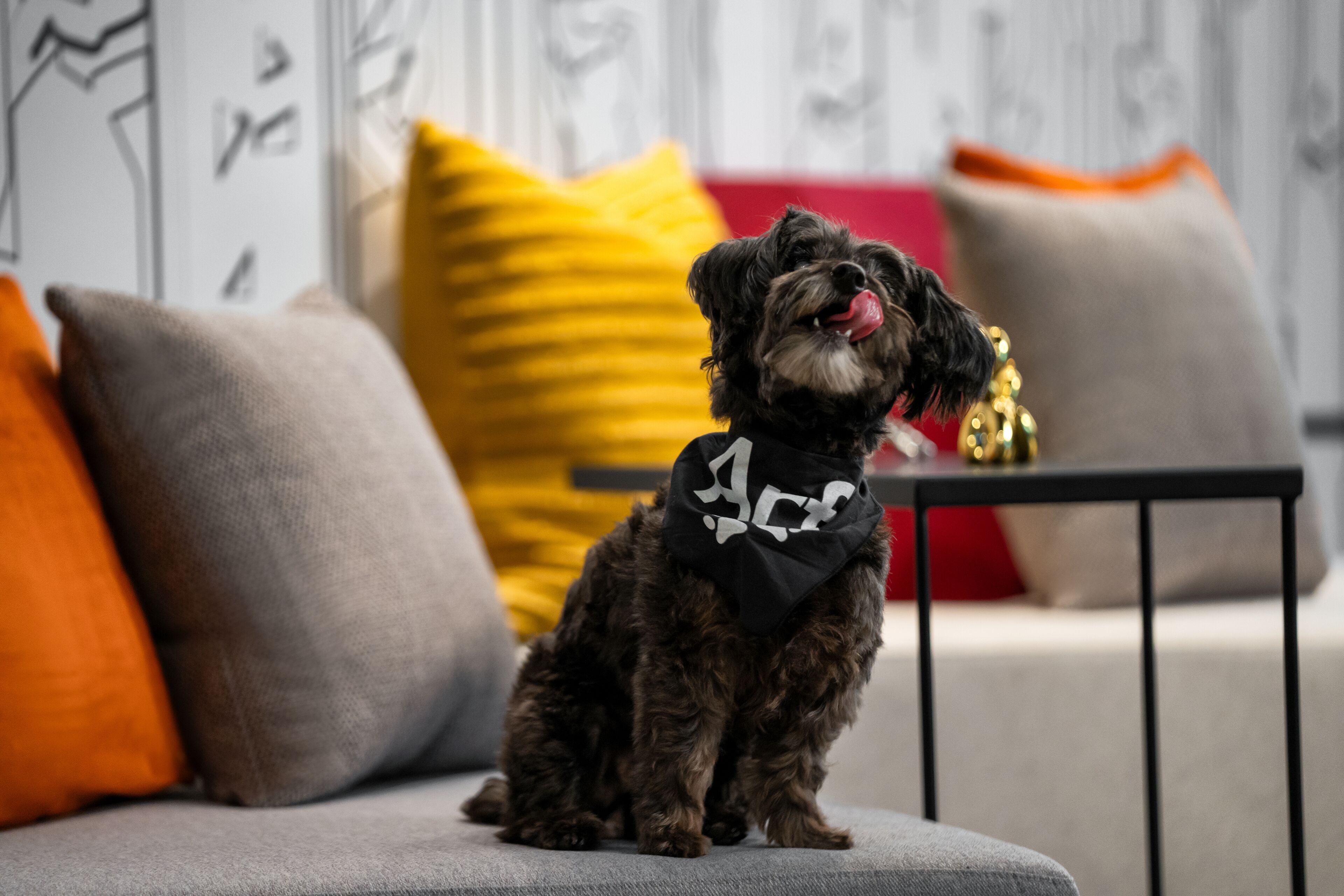 Aloft Chelsea Hotel New York