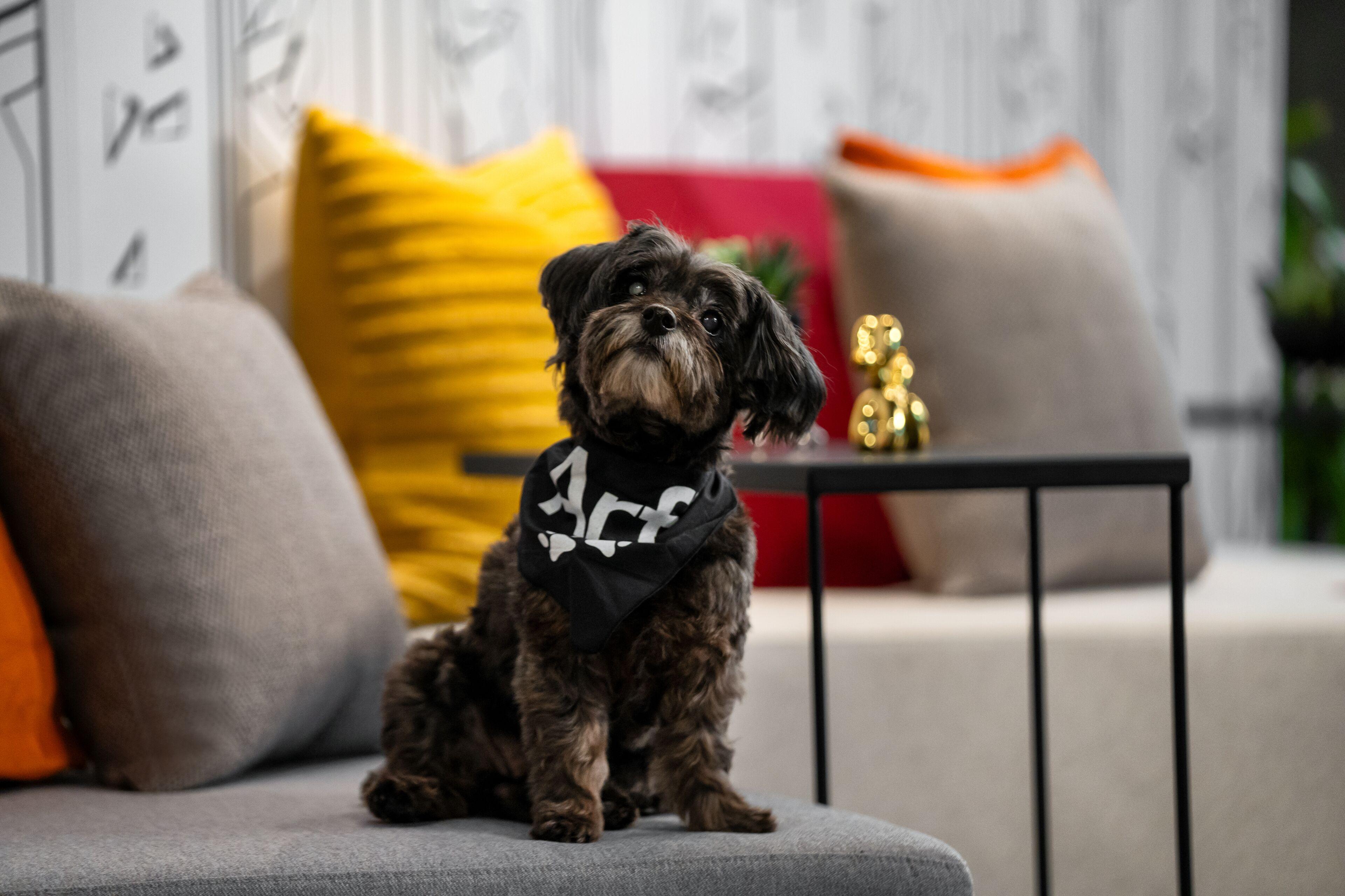 Aloft Chelsea Hotel New York