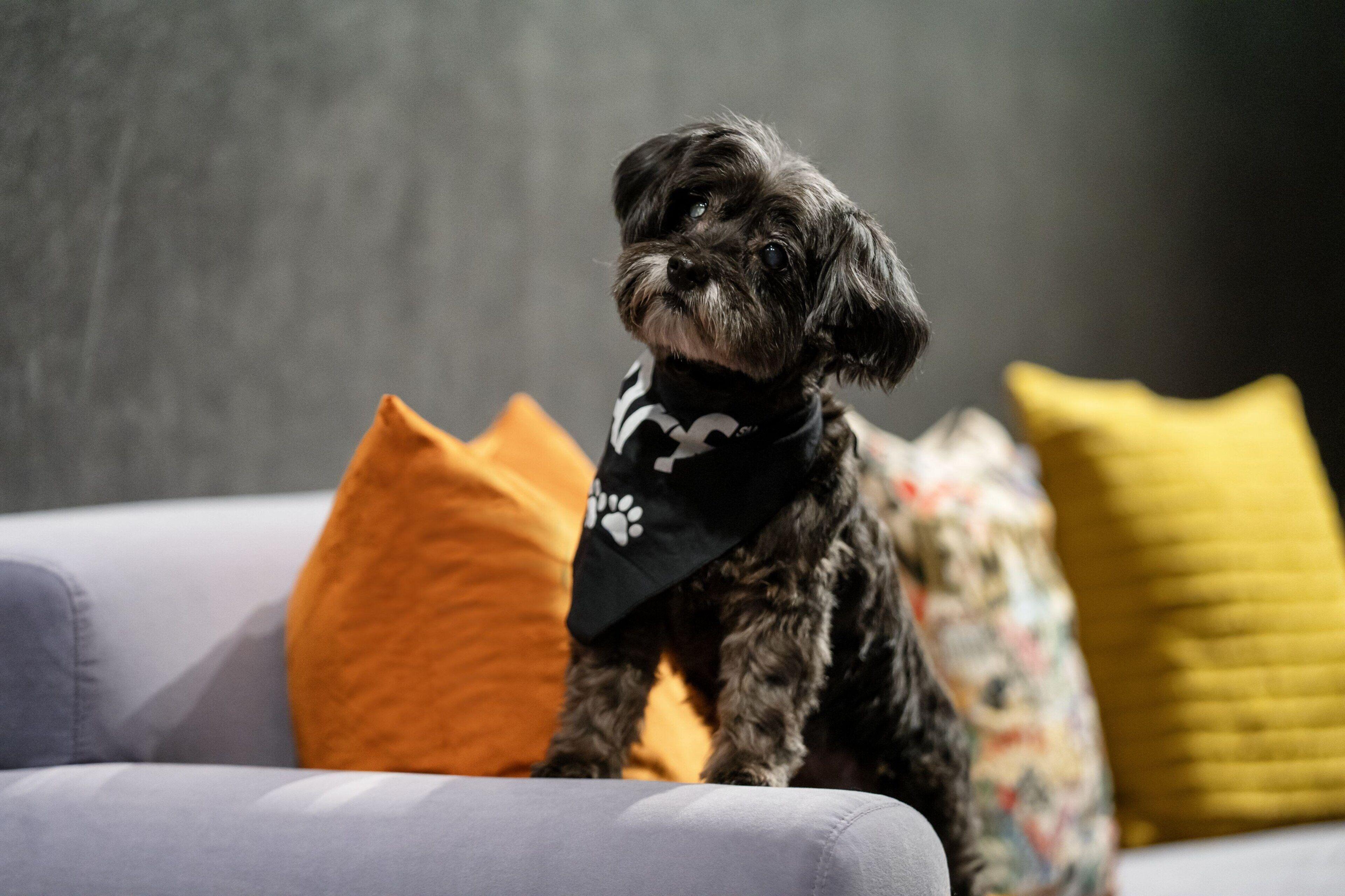 Hotel Aloft Chelsea 4*