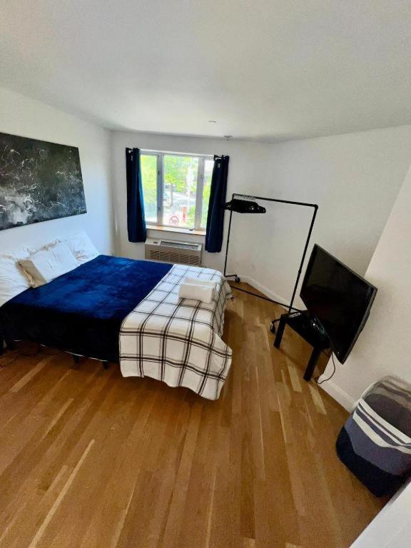 1 Bedroom With Sleeping In Living Williamburg *