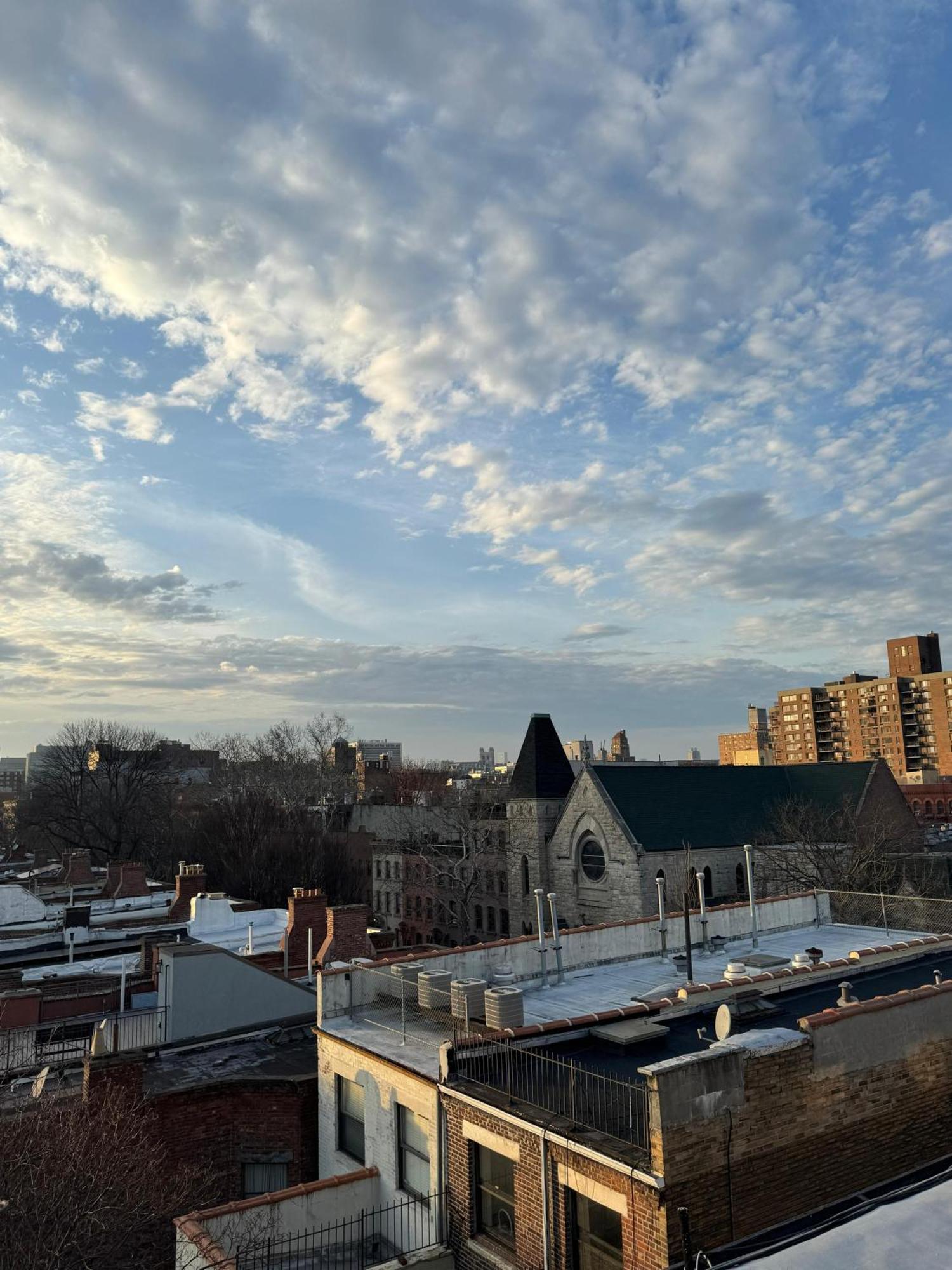 Sunlit Luxury 2br Harlem Brownstone Retreat With Terrace Near Express Trains Apartment *