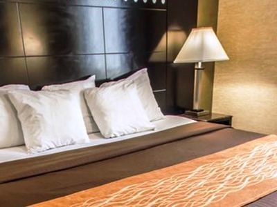 Inn Rodeway Bronx Zoo New York