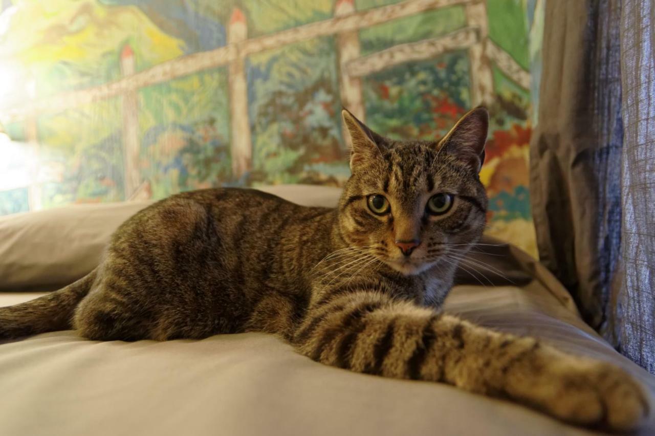 Carlton Arms Hotel 2*