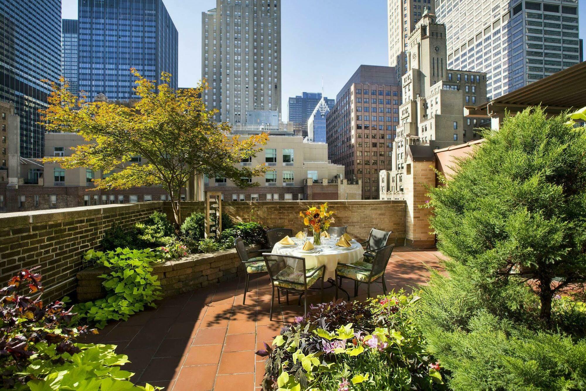 San Carlos 4* New York