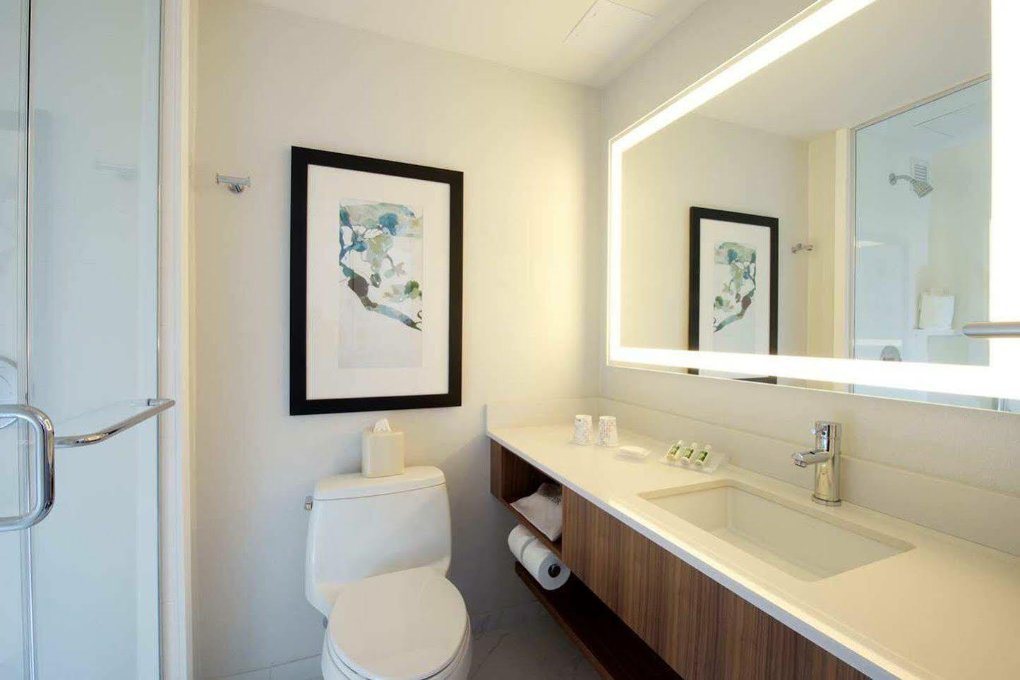 Hotel Hilton Garden Park South-midtown West