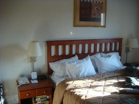 Red Lion & Long Island 3*