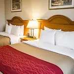 Comfort Jfk Airport 2* New York