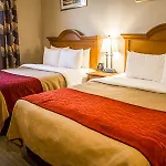 Hotel Comfort Jfk Airport