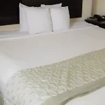 Hotel Royal 2*