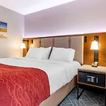 Hotel Comfort Jfk Airport