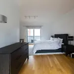 2 Floors Huge Luxury Penthouse