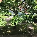 Brooklyn Luxury Spring Retreat With Private Outdoor Space * New York