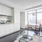 Financial District 1br W Wd Gym Elevator Nyc-1360 Apartment