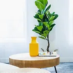 1435-4 I 3 Bedrooms 2bath W D Prime Upper East Apartment *